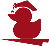 duck-in-plane